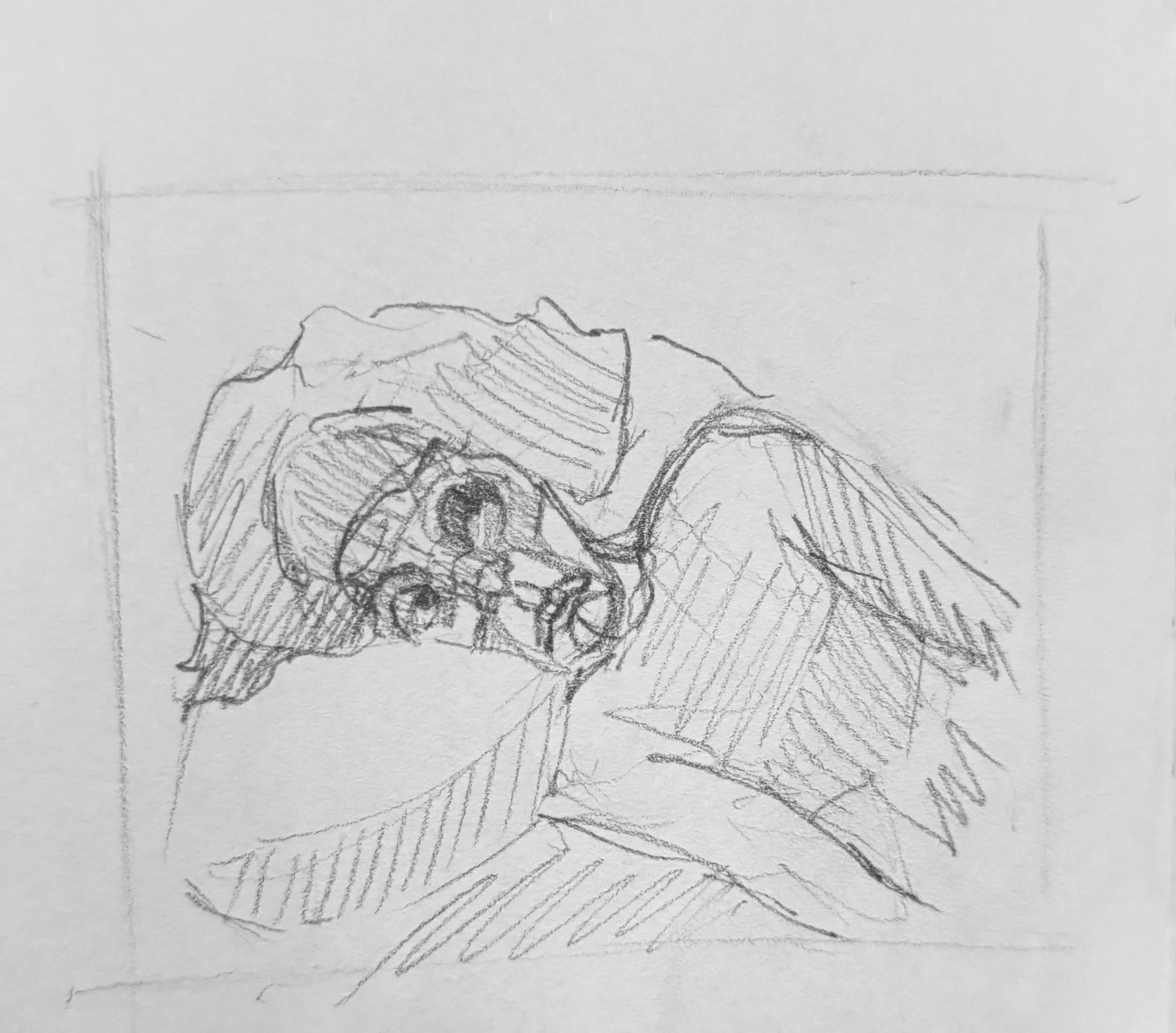 Pencil self-portrait study, sheet 13 of 16 — head and shoulders inside a drawn frame