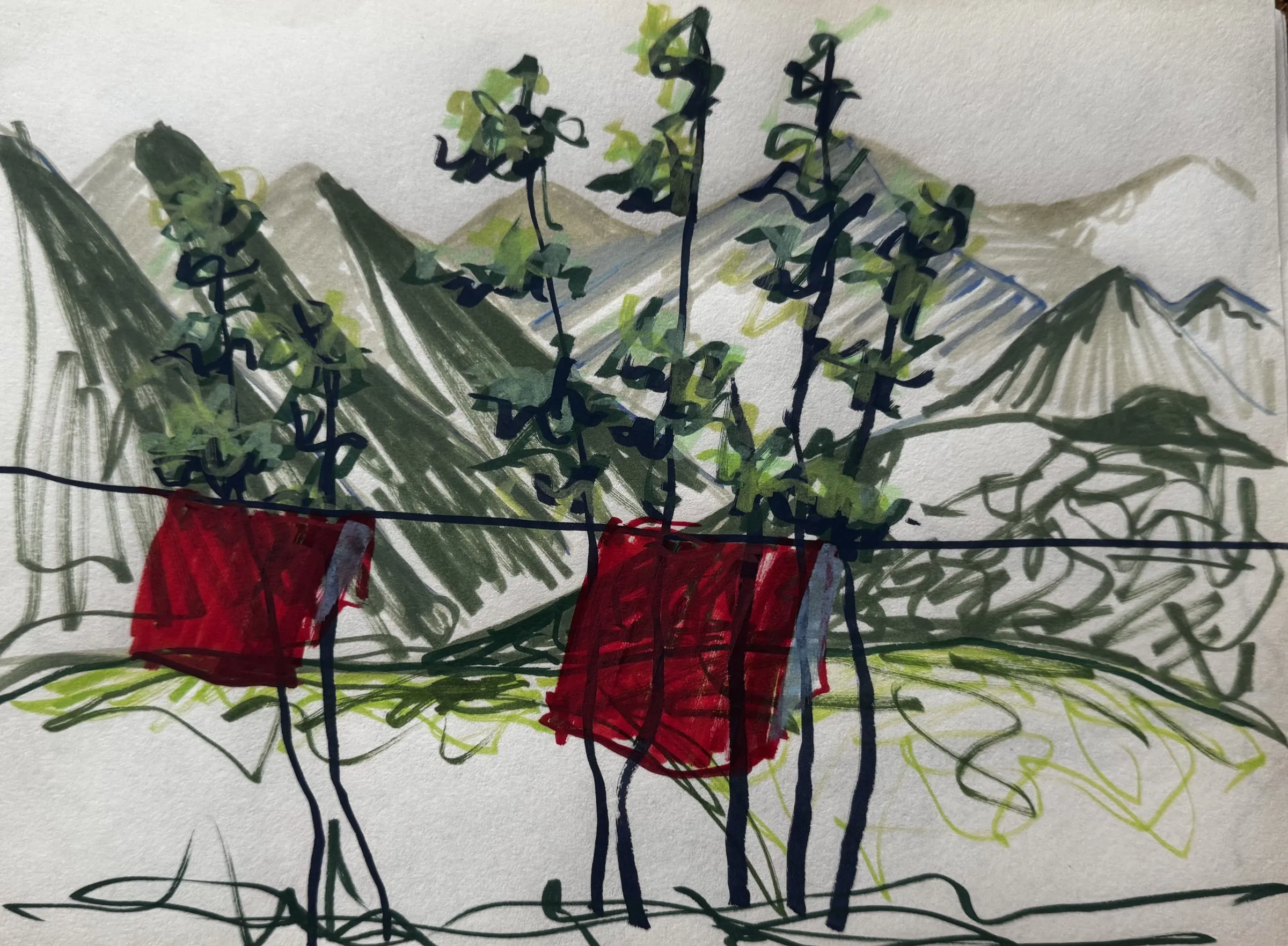 Marker sketch: slender trees over red planters, mountains behind
