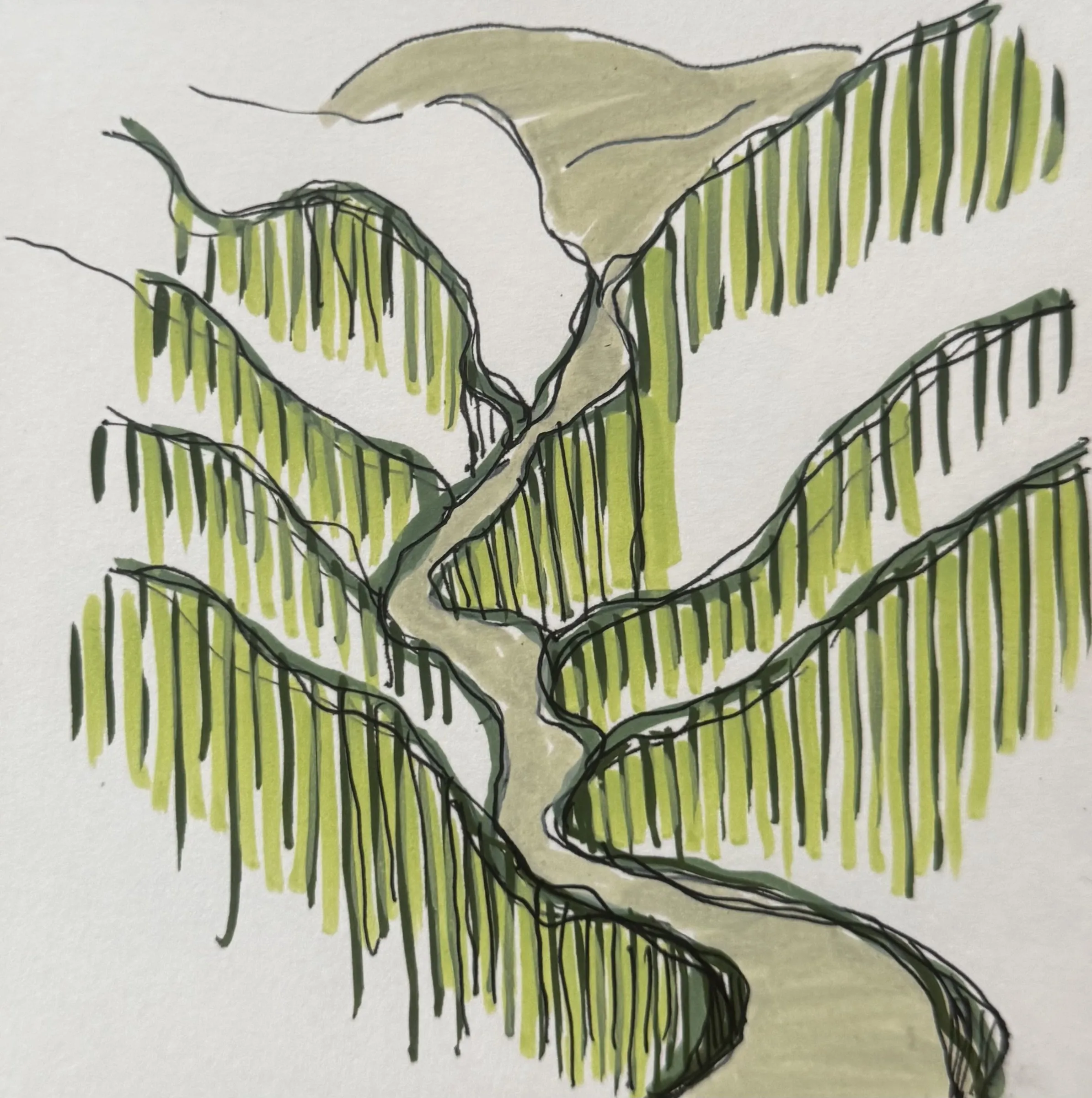 Marker sketch: green foliage winding along a pale valley