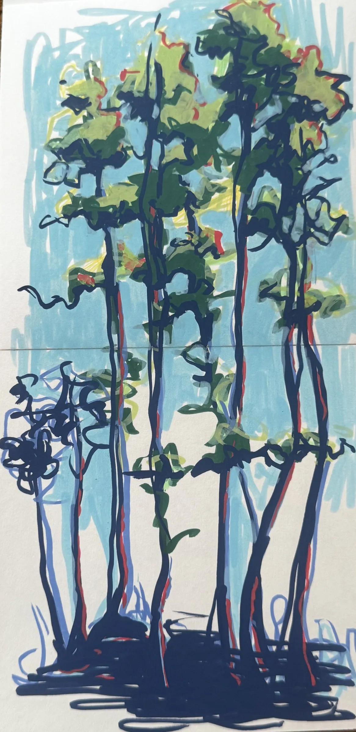 Marker sketch: tall thin trees rising the full height of the sheet