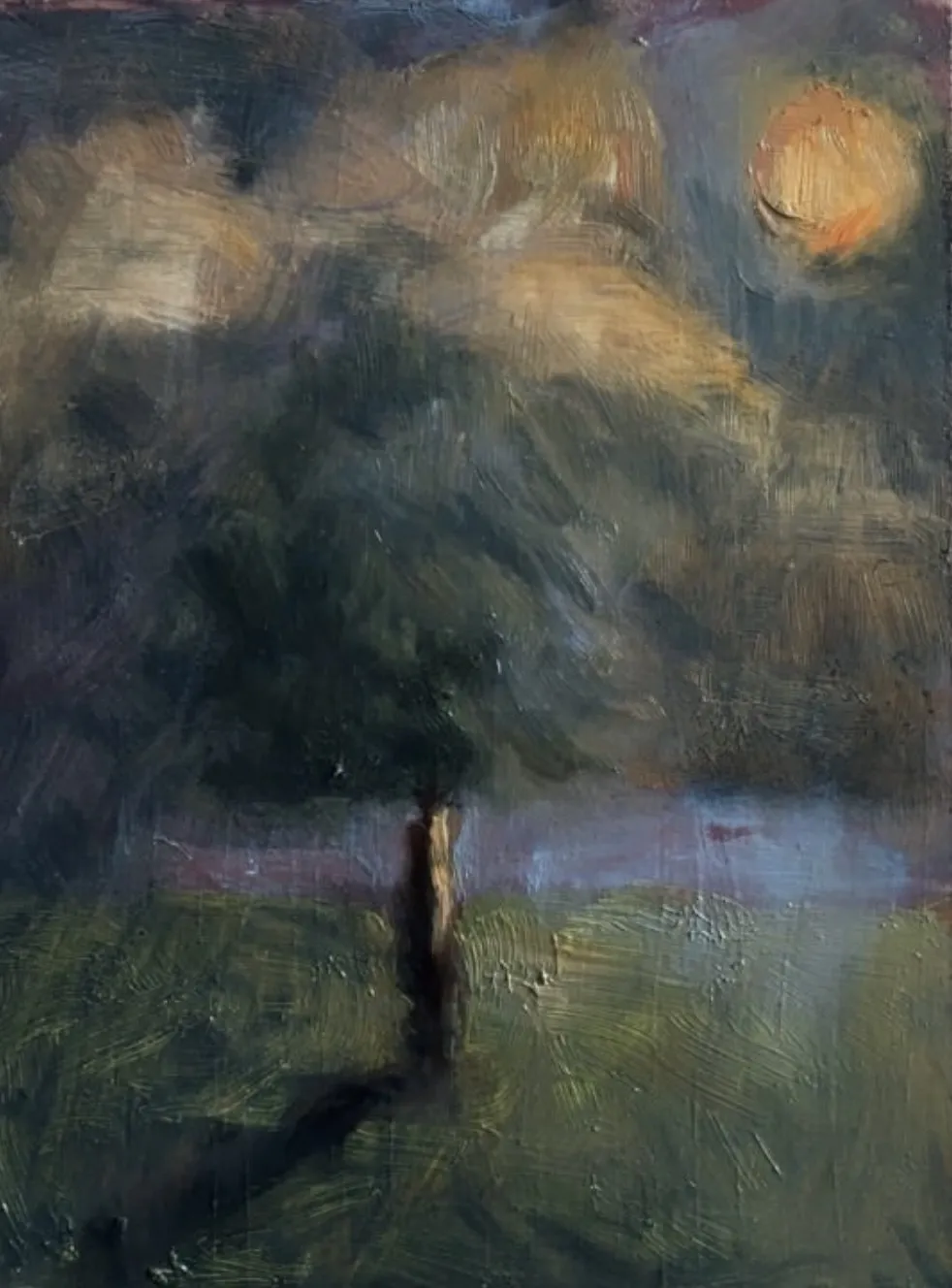 Tree in green field under a hazy sun