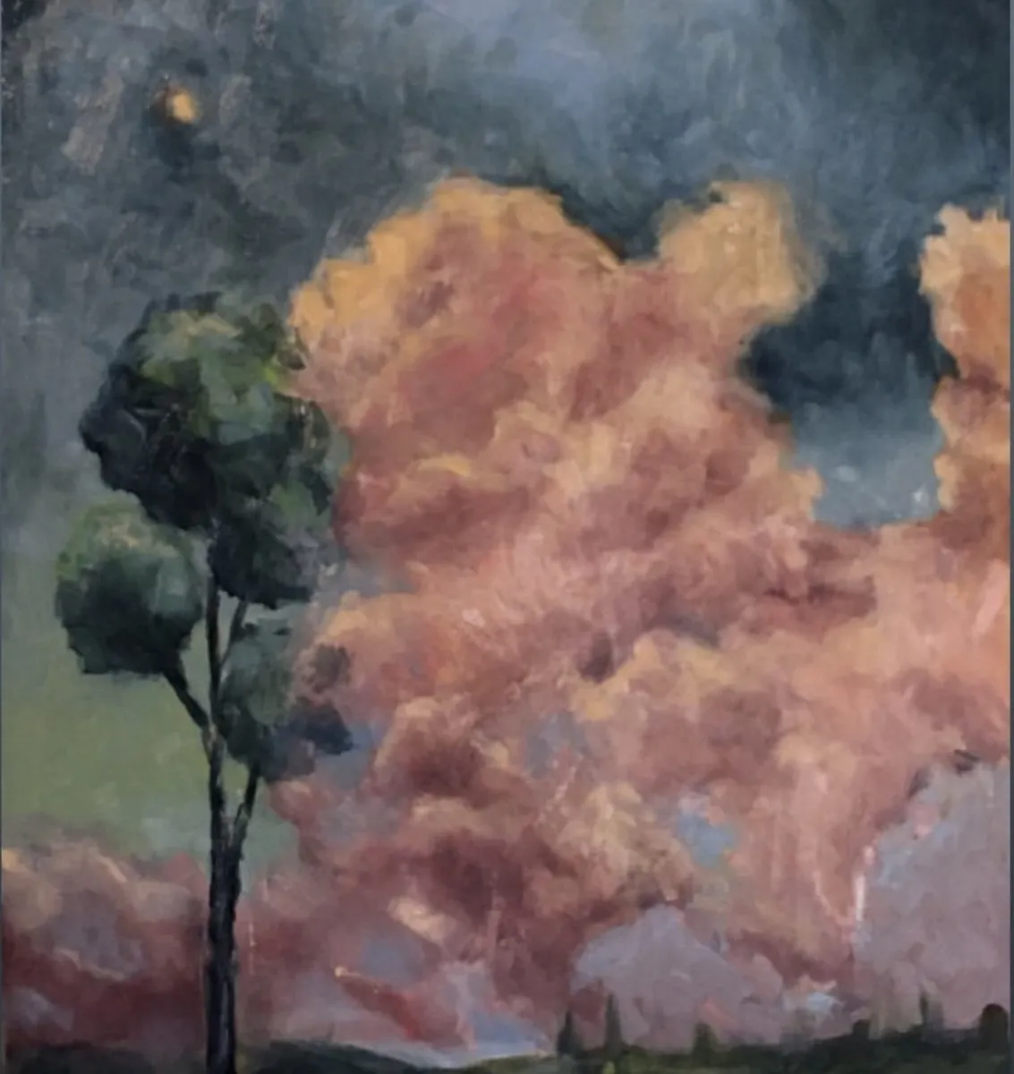 Two slim trees beside a great pink cloud