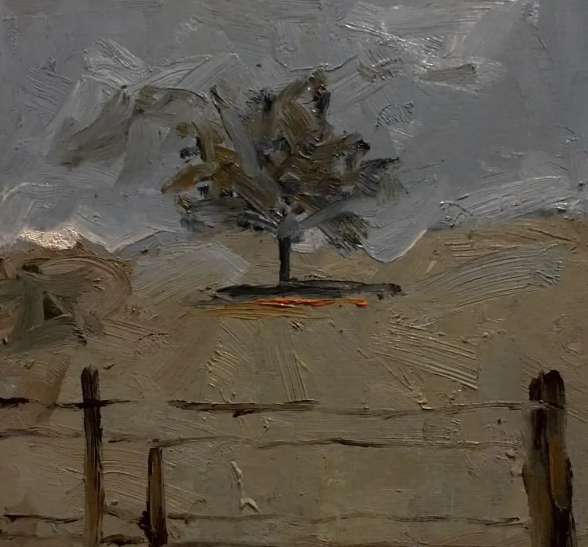 Small tree on a pale field, fence posts across the foreground