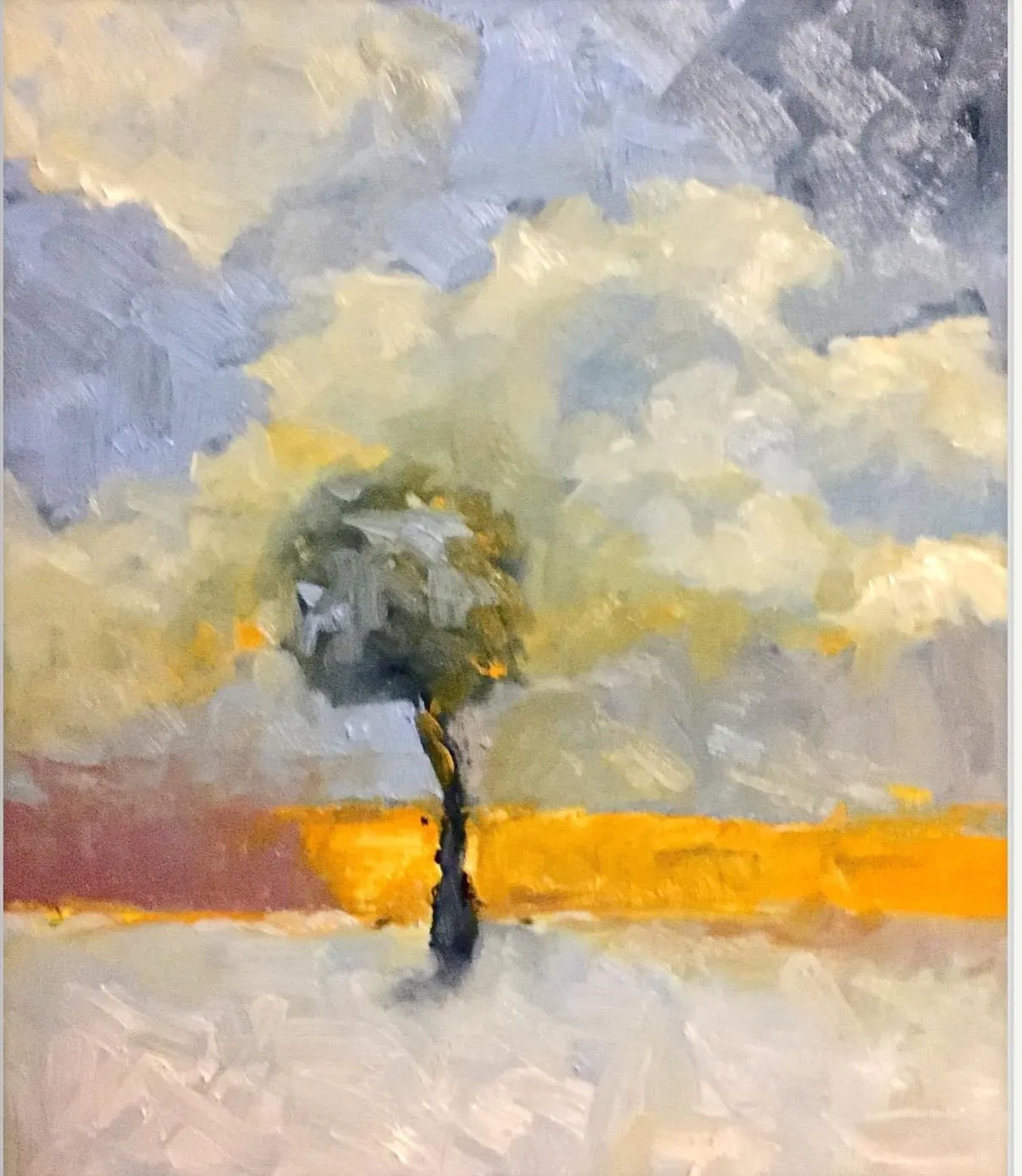 Tree against banked white cloud above a band of orange